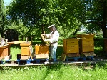 Am Bienenstand